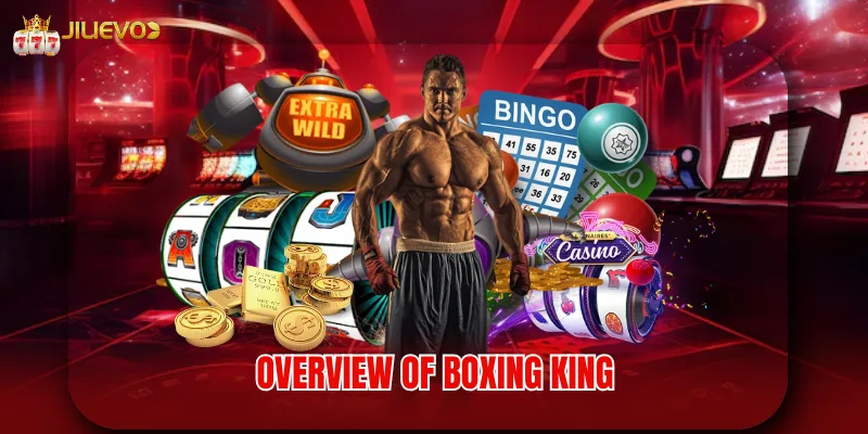 Overview of Boxing King